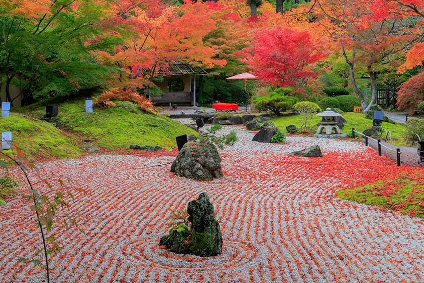 秋を楽しむ♪大江戸温泉物語とセットで行きたい紅葉スポット特集