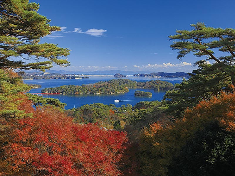 紅葉に染まる松島を見に行こう！